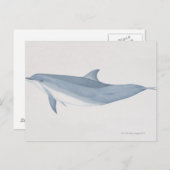 ボトレスドルフィン ポストカード (正面/裏面)