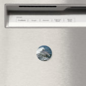 ボトレスドルフィン マグネット (インサイチュ (食洗機))