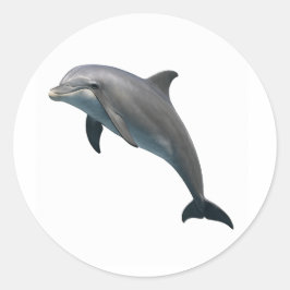 ボトレノースブリス ラウンドシール