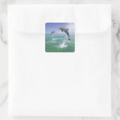 ボトレンスドルフィントルシオプストランケータス スクエアシール (バッグ)