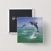 ボトレンスドルフィントルシオプストランケータス 缶バッジ (正面&裏面)