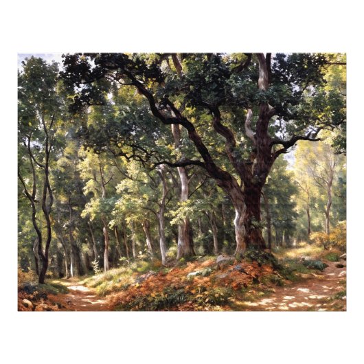 ボドマーオーク フォトプリント            (正面)