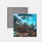 ボナイリアンリーフ マグネット (正面/裏面)