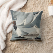 ボナパルティアン·カモメ クッション (ブランケット)