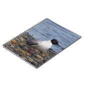 ボナパルテグルアットザビーチ ノートブック (左側)