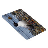 ボナパルテグルアットザビーチ マグネット (右側)