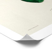 ボナパルテズフライキャッチャーbyオードボンポスター ポスター (角)