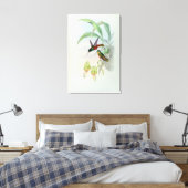ボナパルトのスターフロントハミングバード キャンバスプリント (インサイチュ (寝室))