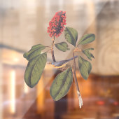 ボナパルトフライキャッチャーCanada Warbler Audubon Bird ウィンドウサイン (シート2)