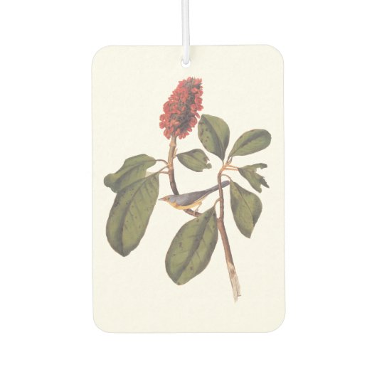 ボナパルトフライキャッチャーCanada Warbler Audubon Bird カーエアーフレッシュナー (正面)