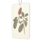 ボナパルトフライキャッチャーCanada Warbler Audubon Bird カーエアーフレッシュナー (左)