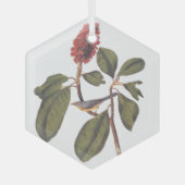 ボナパルトフライキャッチャーCanada Warbler Audubon Bird ガラスオーナメント (正面)