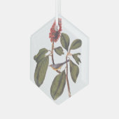 ボナパルトフライキャッチャーCanada Warbler Audubon Bird ガラスオーナメント (正面左)