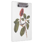 ボナパルトフライキャッチャーCanada Warbler Audubon Bird クリップボード (右)