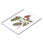 ボナパルトフライキャッチャーCanada Warbler Audubon Bird ノートブック (左側)