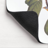 ボナパルトフライキャッチャーCanada Warbler Audubon Bird マウスパッド (コーナー)