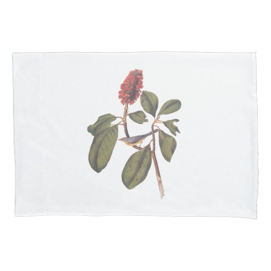 ボナパルトフライキャッチャーCanada Warbler Audubon Bird 枕カバー (正面)