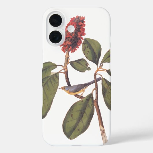 ボナパルトフライキャッチャーCanada Warbler Audubon Bird Case-Mate iPhoneケース (裏面)
