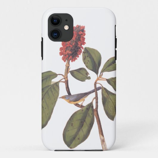 ボナパルトフライキャッチャーCanada Warbler Audubon Bird Case-Mate iPhoneケース (裏面)