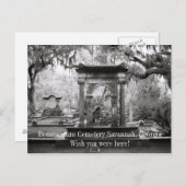 ボナベンチャースクレジットサバンナ ポストカード (正面/裏面)