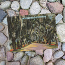 ボナベンチャードライブサバンナGAレトロ