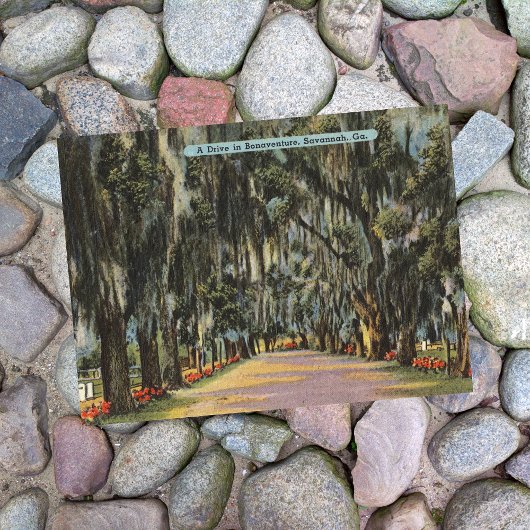 ボナベンチャードライブサバンナGAレトロ ポストカード
