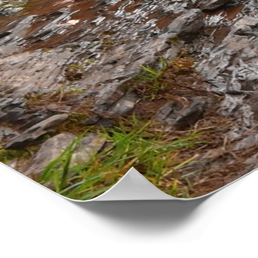 ボナンザ秋 ポスター (角)