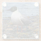 ボナ素晴らしパルテズガルシーバーディットアットビーチ ガラスコースター (裏面)