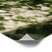 ボニーとクライド・エンブレイス1933年リマスター ポスター (角)