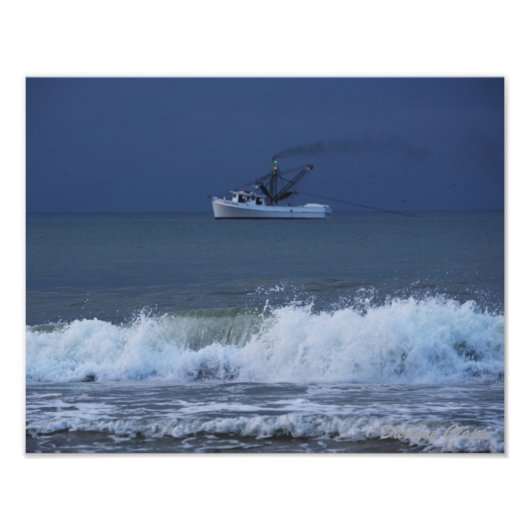 'ボニーブルー' フォトプリント            (正面)