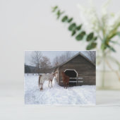 ボニー&クライド ポストカード (スタンド正面)