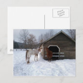 ボニー&クライド ポストカード (正面/裏面)