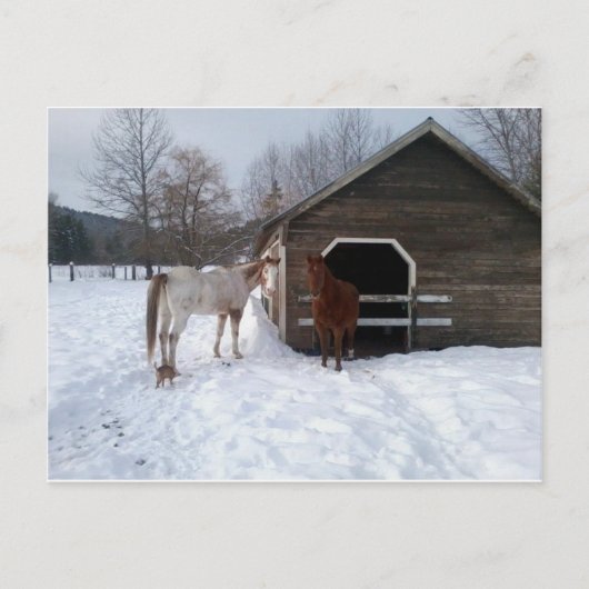 ボニー&クライド ポストカード (正面)