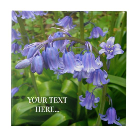 ボニー・ブルーベル タイル (正面)