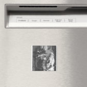 ボニー・プリンス・チャーリー隠れ マグネット (インサイチュ (食洗機))