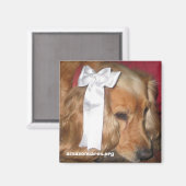 ボニー マグネット (正面/裏面)