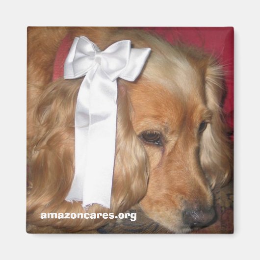 ボニー マグネット (正面)