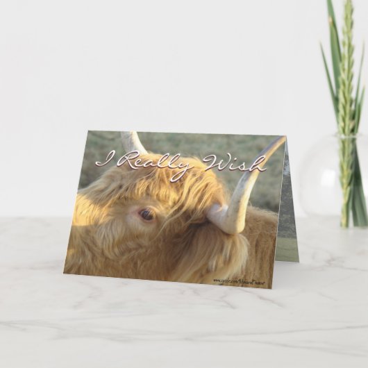 ボニー・G・ジェット・ウェルカスタマイズ カード (正面)