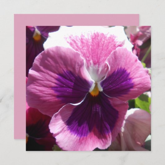 ボヌール (正面/裏面)