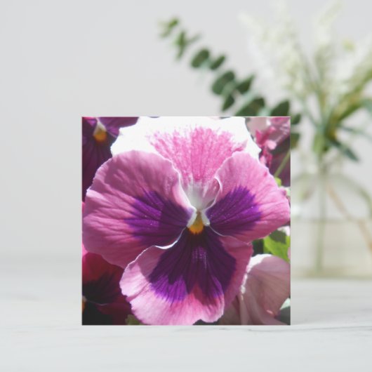 ボヌール (スタンド正面)