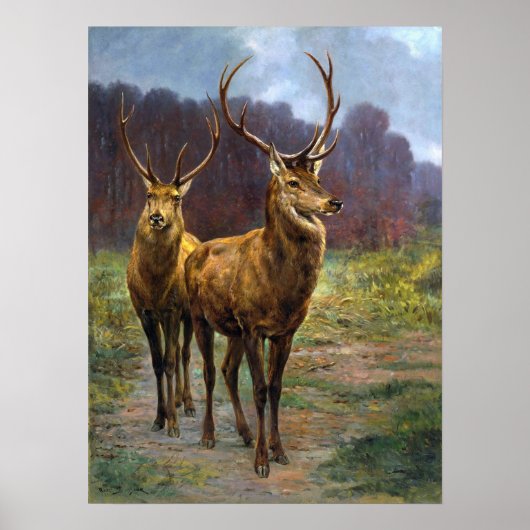 ボヌール – 森の（昆虫）オオカバマダラ、モナーク ポスター (正面)