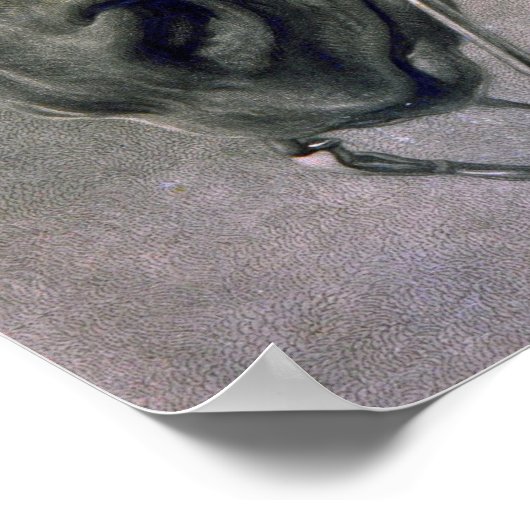 ボヌール – 馬の頭 ポスター (角)