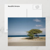 ボネアの木 ポストカード (正面/裏面)