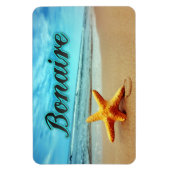 ボネアヒトデ マグネット (縦)