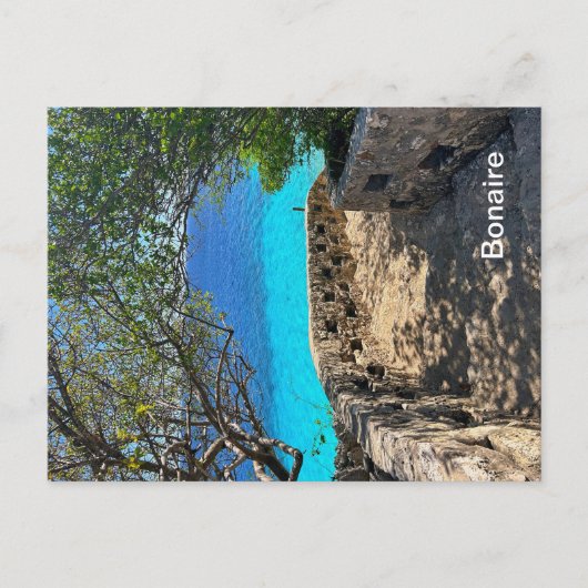 ボネアポストカード ポストカード (正面)