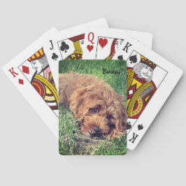 ボネシートランプ トランプ