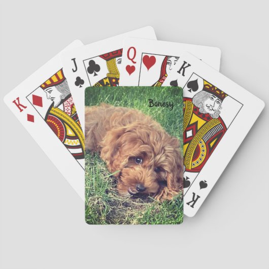 ボネシートランプ トランプ (裏面)