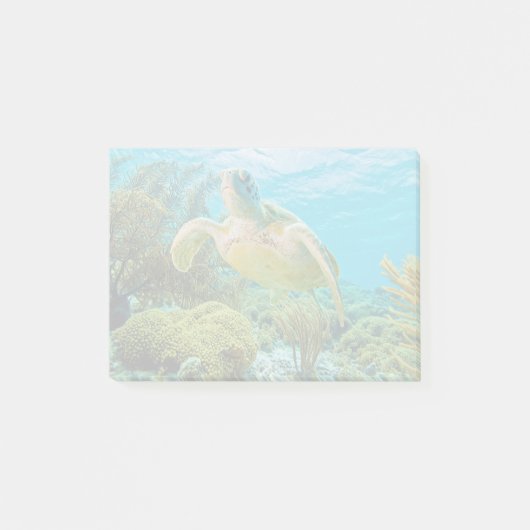 ボネールの浅いサンゴ礁の緑のカメ ポストイット (正面)
