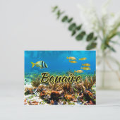 ボネール珊瑚礁 ポストカード (スタンド正面)