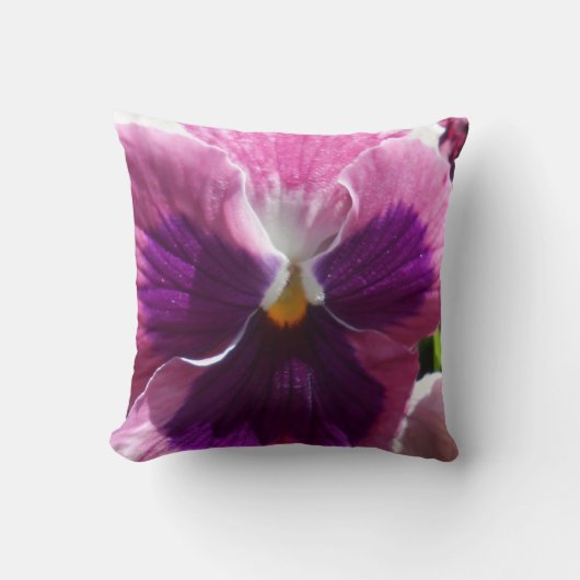 ボネール クッション (正面)